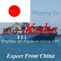 Seefracht-Versand von China nach Kobe, Japan